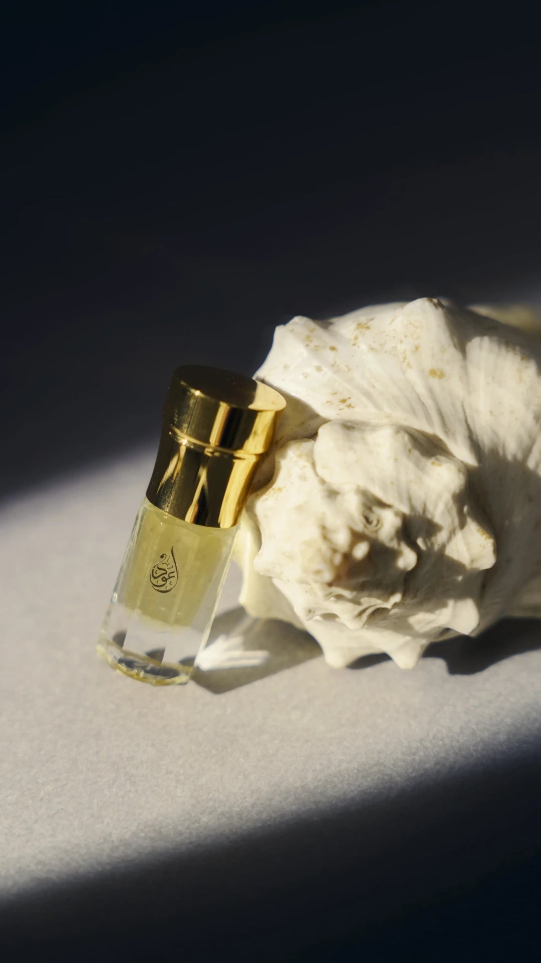 Glorious Musk detail – daily wear Arabian musk Pakistan