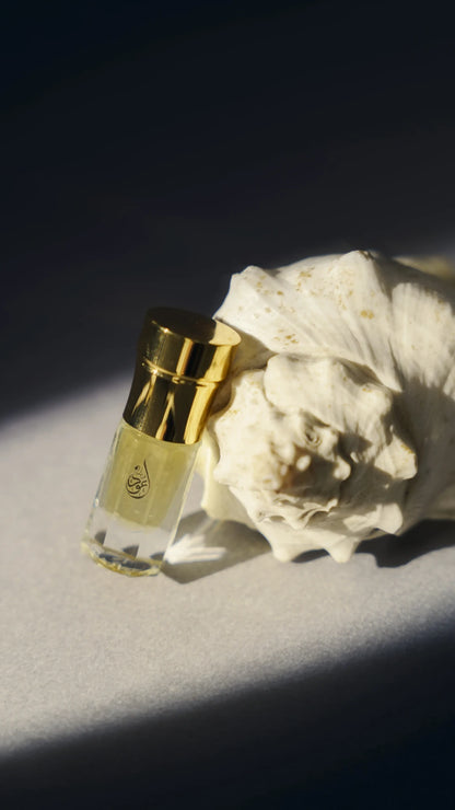 Glorious Musk detail – daily wear Arabian musk Pakistan